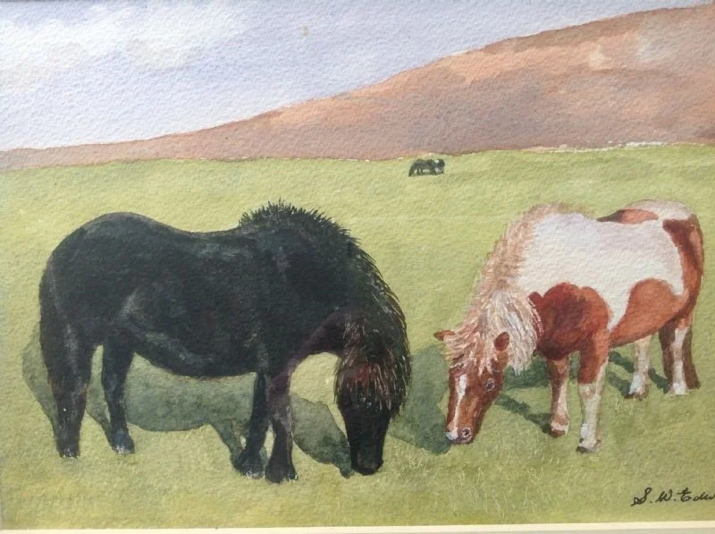 pony pals pony pals
