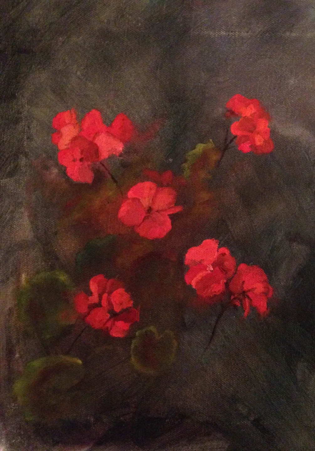 Geraniums Geraniums