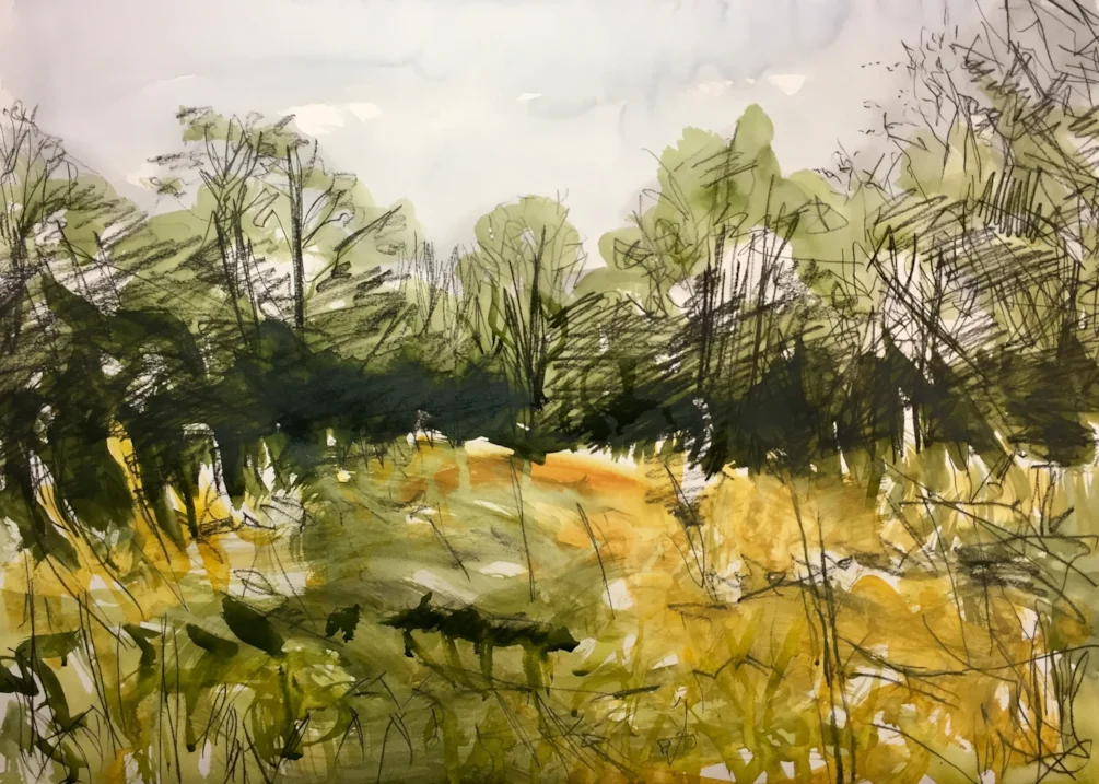 Somewhere around Knypersley, ink and conte on A2 Somewhere around Knypersley, ink and conte on A2