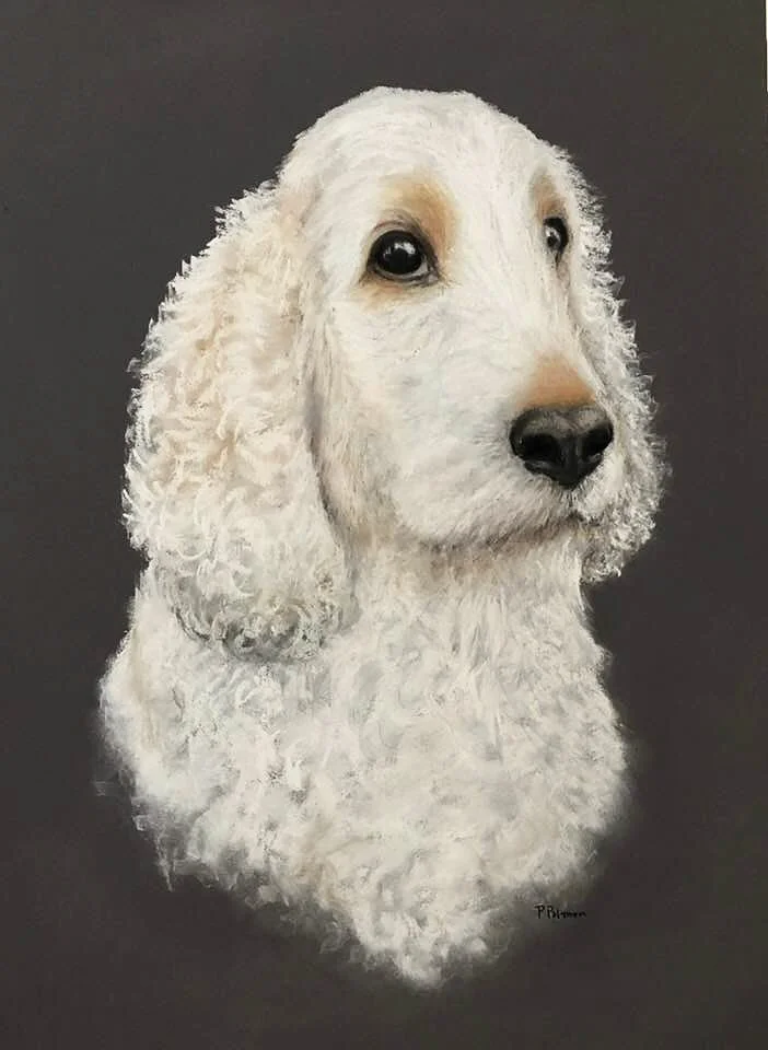 Cocker Cocker