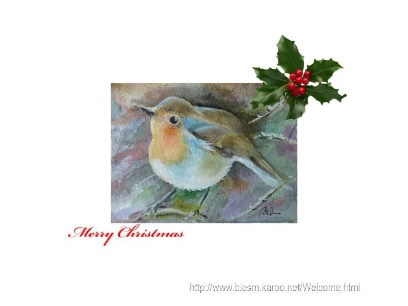 Robins best wishes Robins best wishes