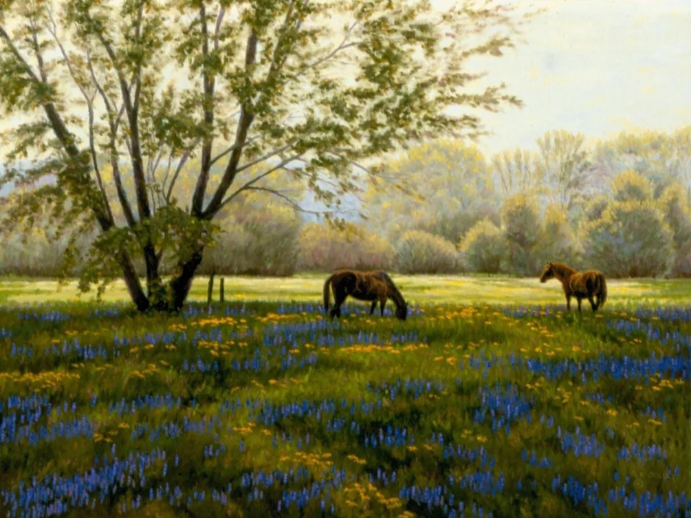 Spring Meadow Spring Meadow