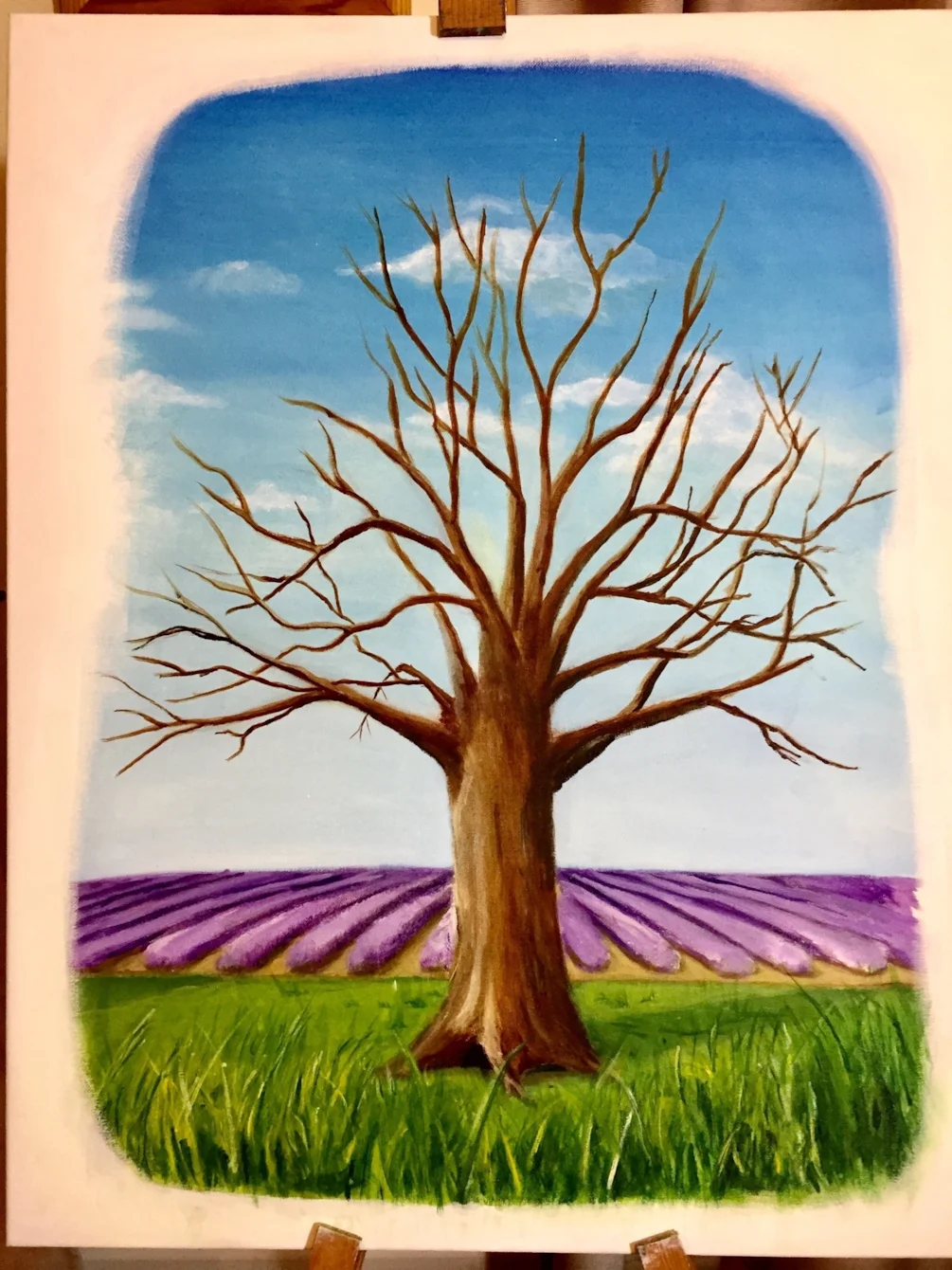 Lavender oaks Lavender oaks