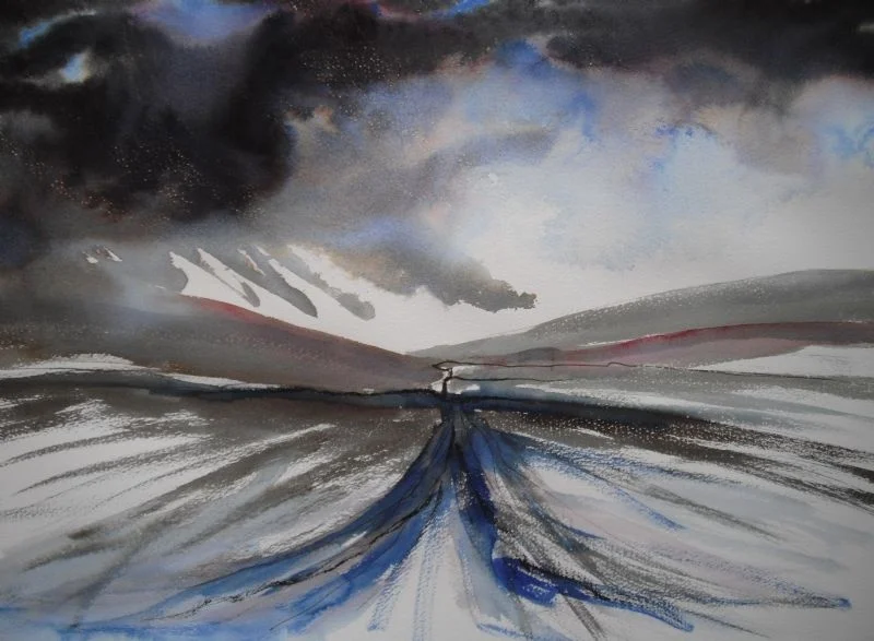 'Sheep Tracks Above Westy Bank Wood' 'Sheep Tracks Above Westy Bank Wood'