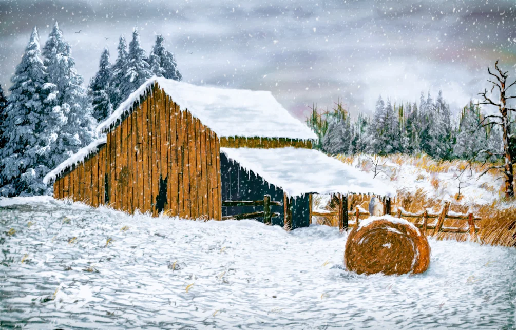 Winter Shelter Winter Shelter