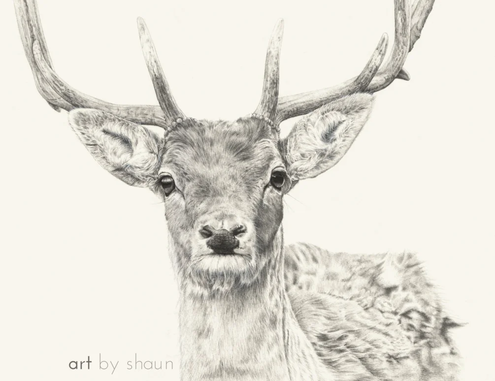 For he's a jolly good Fallow For he's a jolly good Fallow