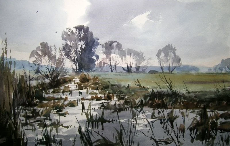 A damp corner, Somerset levels A damp corner, Somerset levels