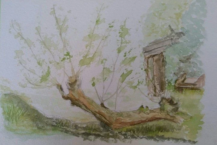 New shoots en plein air sketch New shoots en plein air sketch