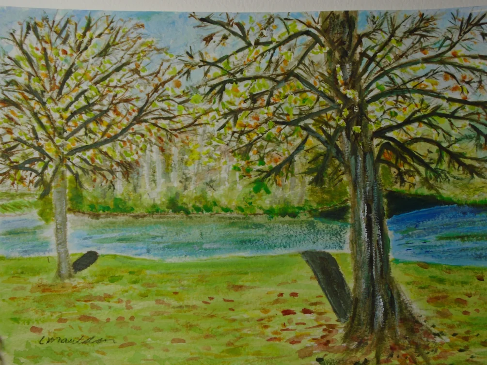 Common Pond, Hailsham (3rd attempt at acrylics) Common Pond, Hailsham (3rd attempt at acrylics)