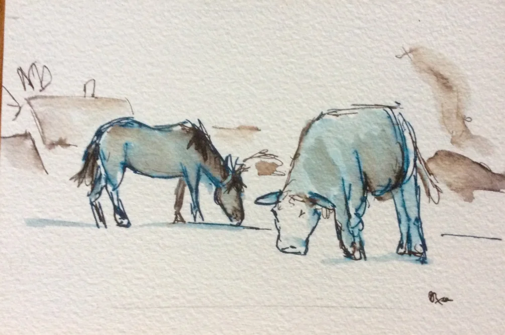 Clever Cows at Lyndhurst, New Forest Clever Cows at Lyndhurst, New Forest