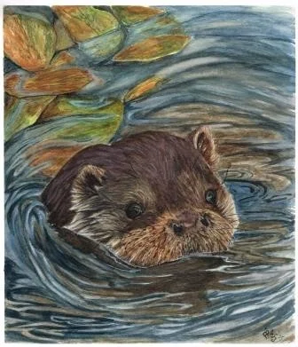 i'm where i Otter be!! i'm where i Otter be!!