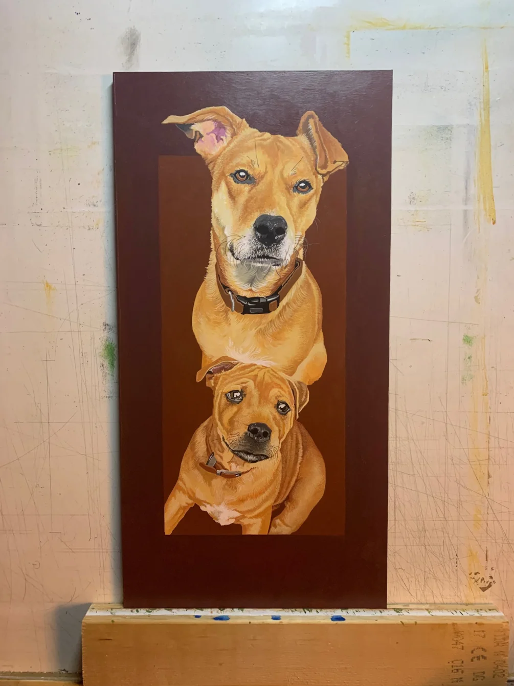 dogs dogs