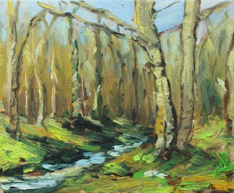 Spring Wood Spring Wood
