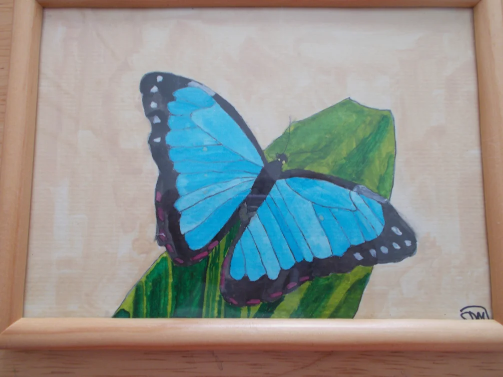 beautiful butterfly on leaf beautiful butterfly on leaf
