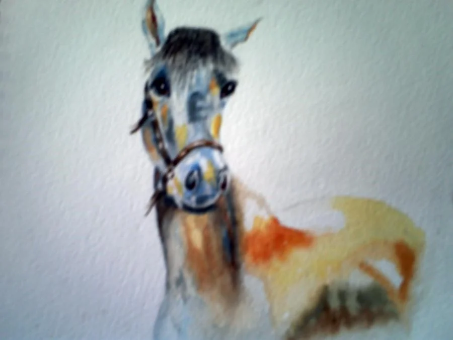 Horse Horse