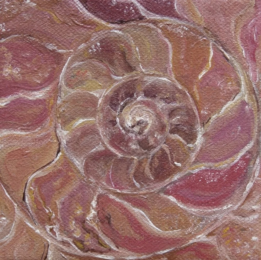 A is for Ammonite A is for Ammonite
