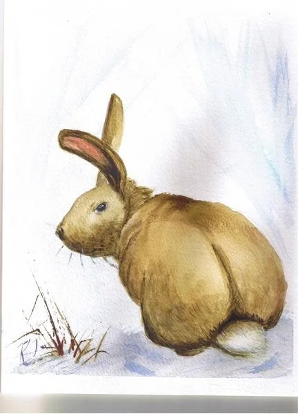 Year of the Rabbit Year of the Rabbit