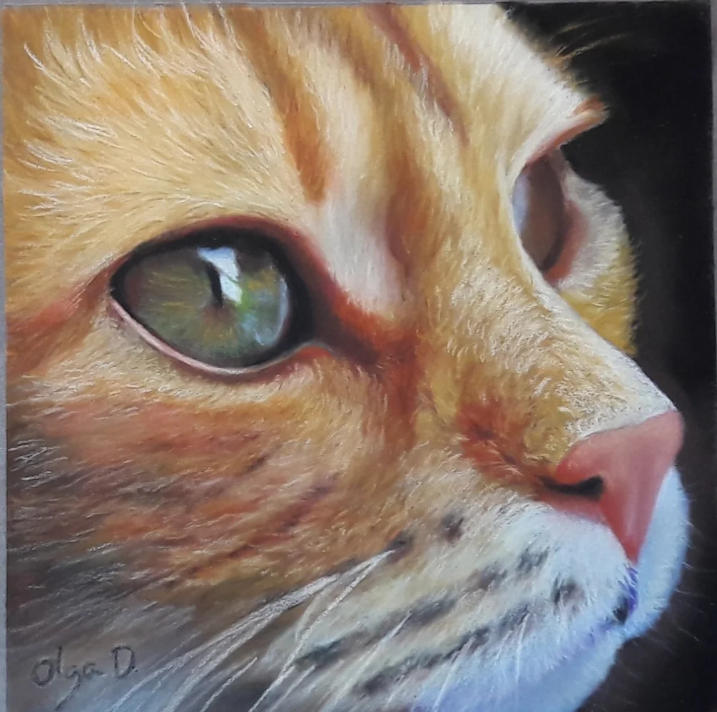 Redhead cat studio Redhead cat studio