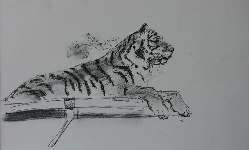 Tiger Tiger