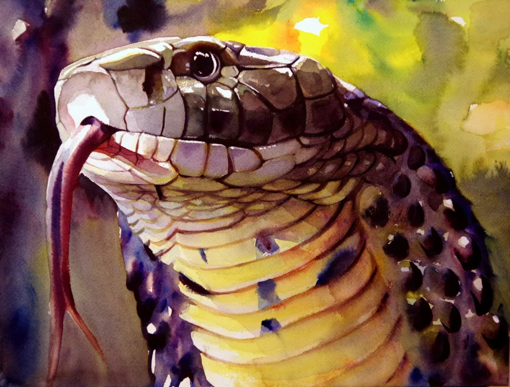 King Cobra King Cobra