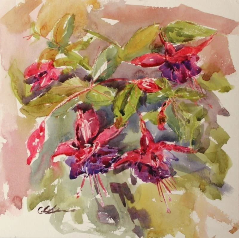 Fuchsia Fuchsia