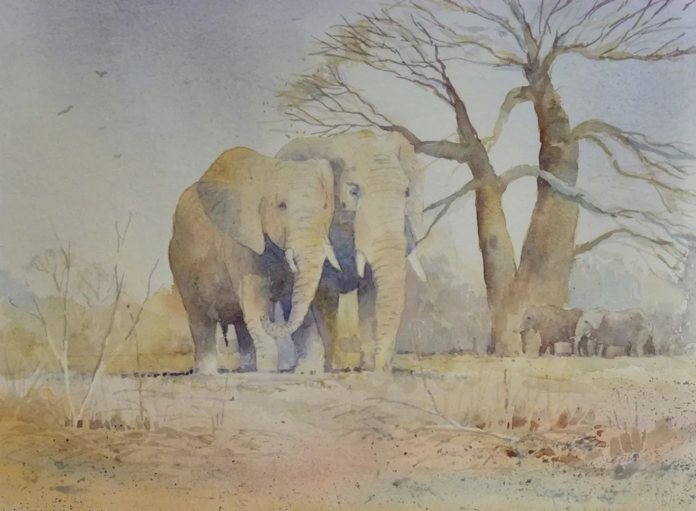 Baobab with elephants Baobab with elephants