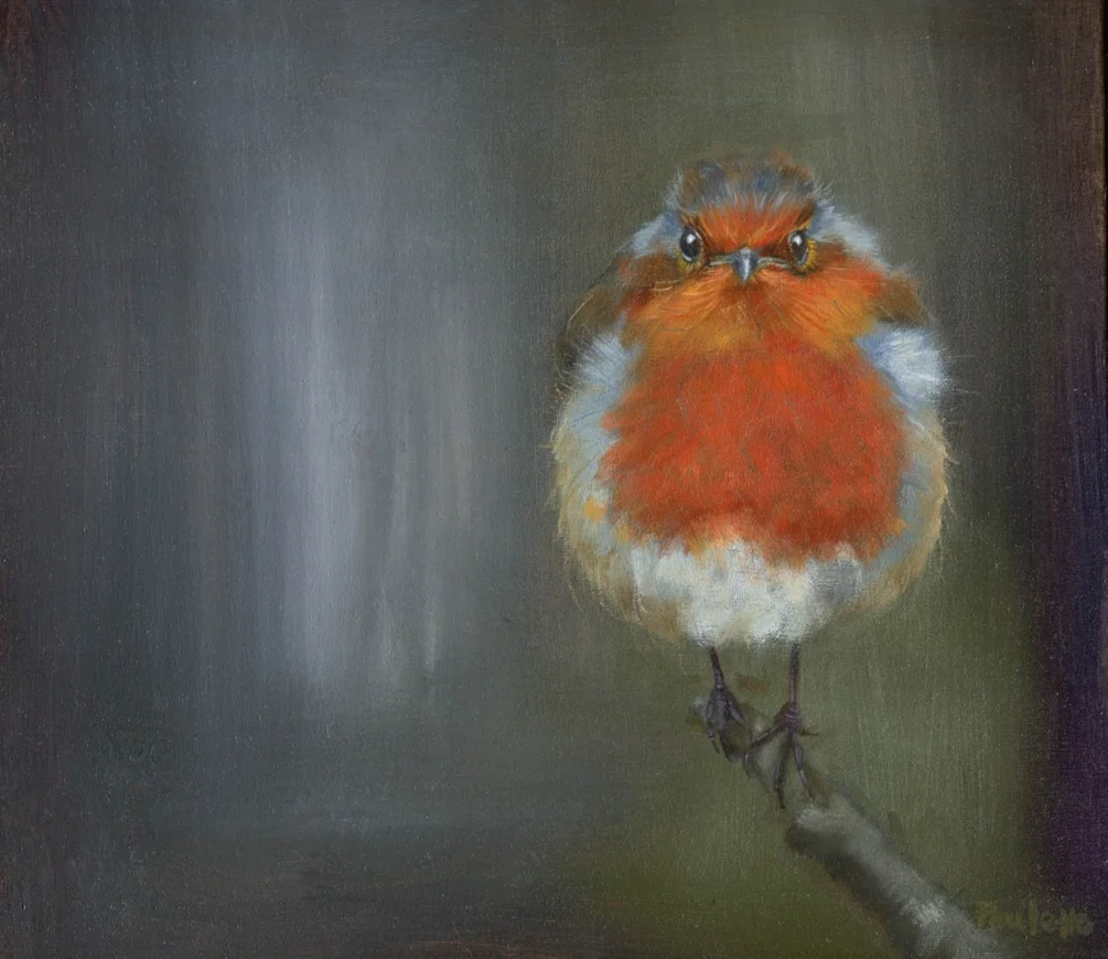 Fat Robin Fat Robin