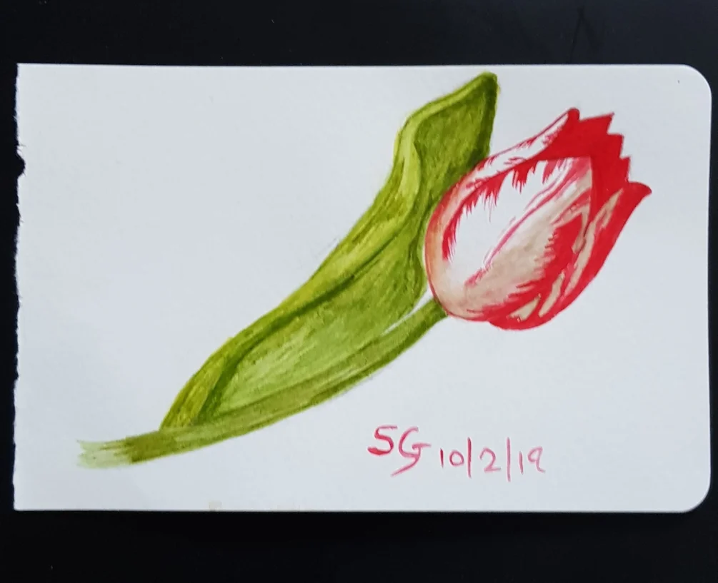 Tulip on watercolour Tulip on watercolour