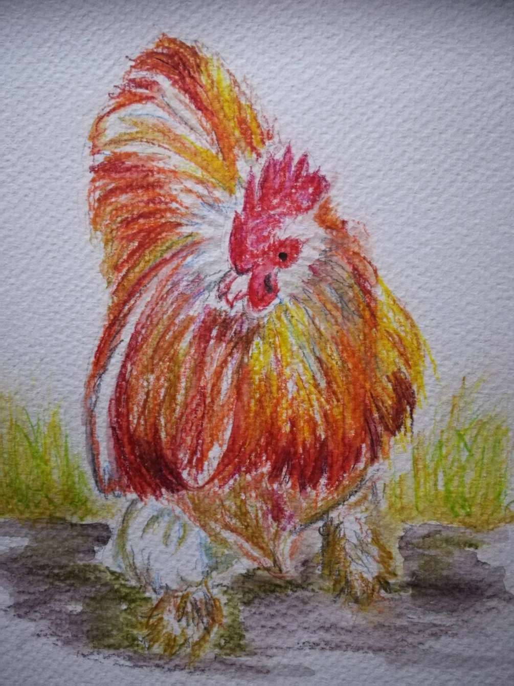 Chicken, Inktober challenge Chicken, Inktober challenge