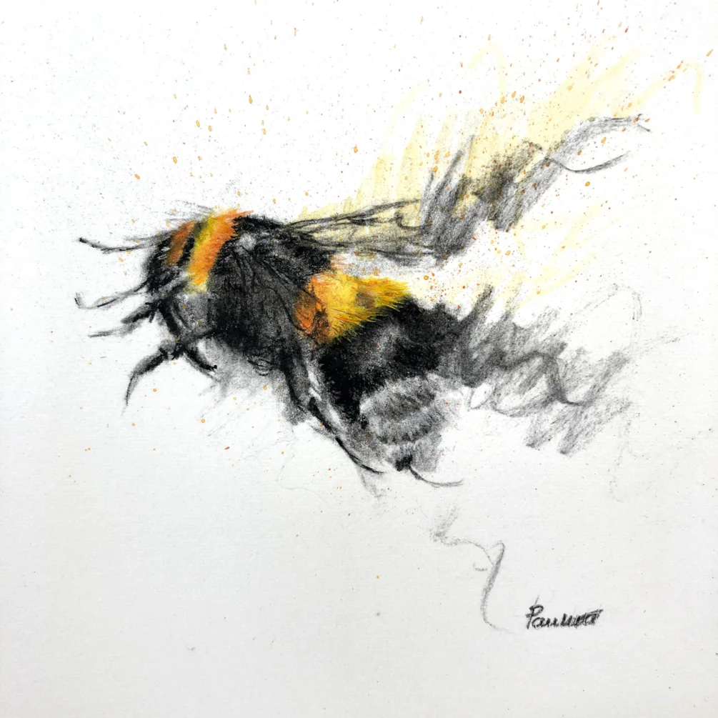 Charcoal Bee 03 Charcoal Bee 03