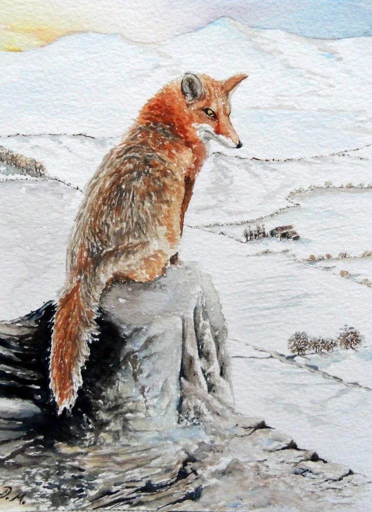 Fox Fox
