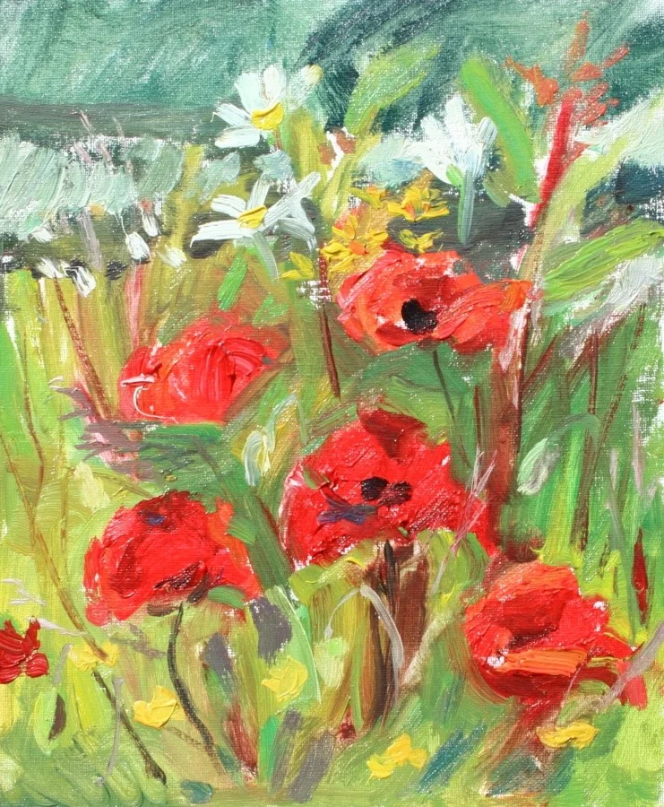 Red Poppies in the Wind Red Poppies in the Wind