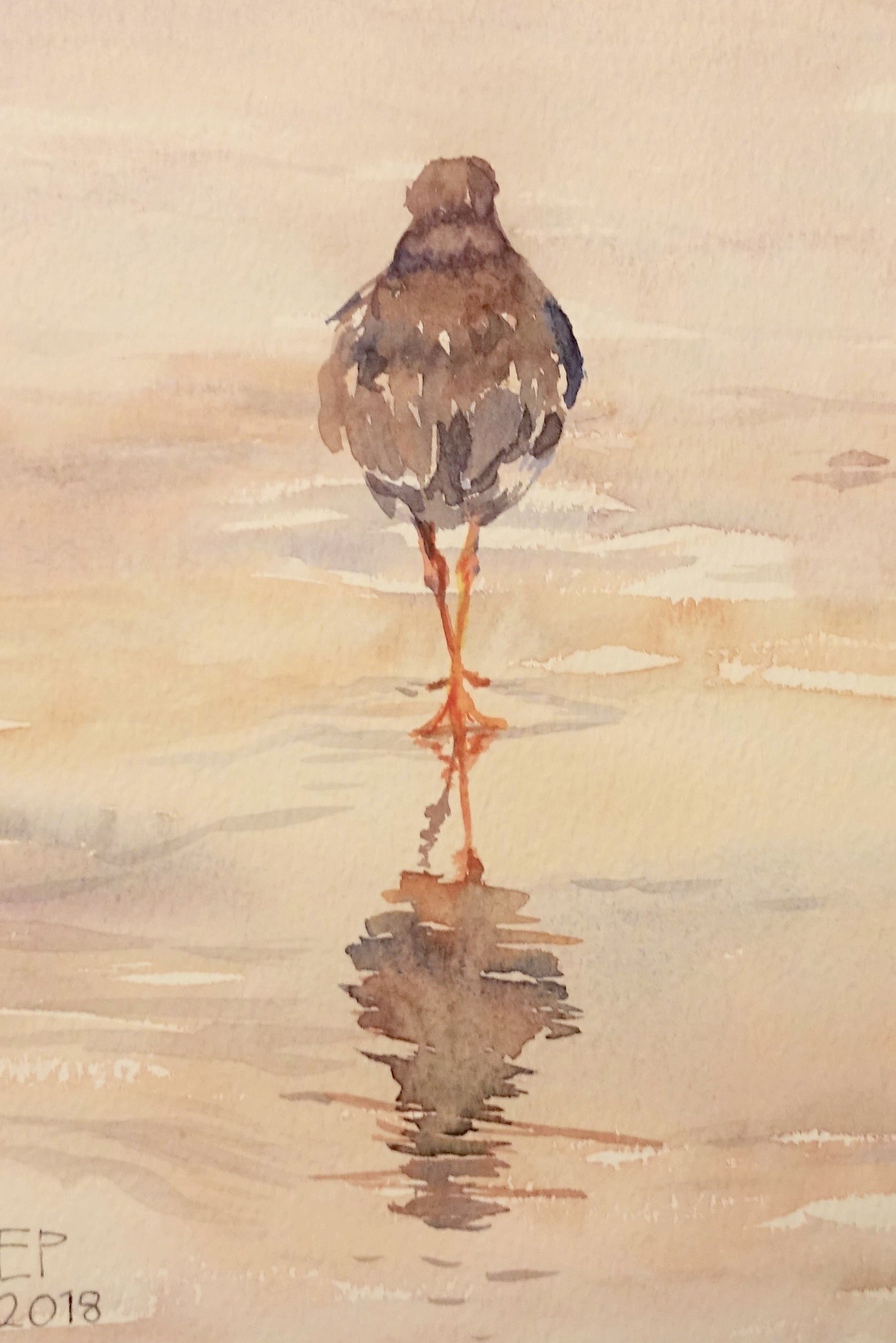 Reflecting redshank - low tide