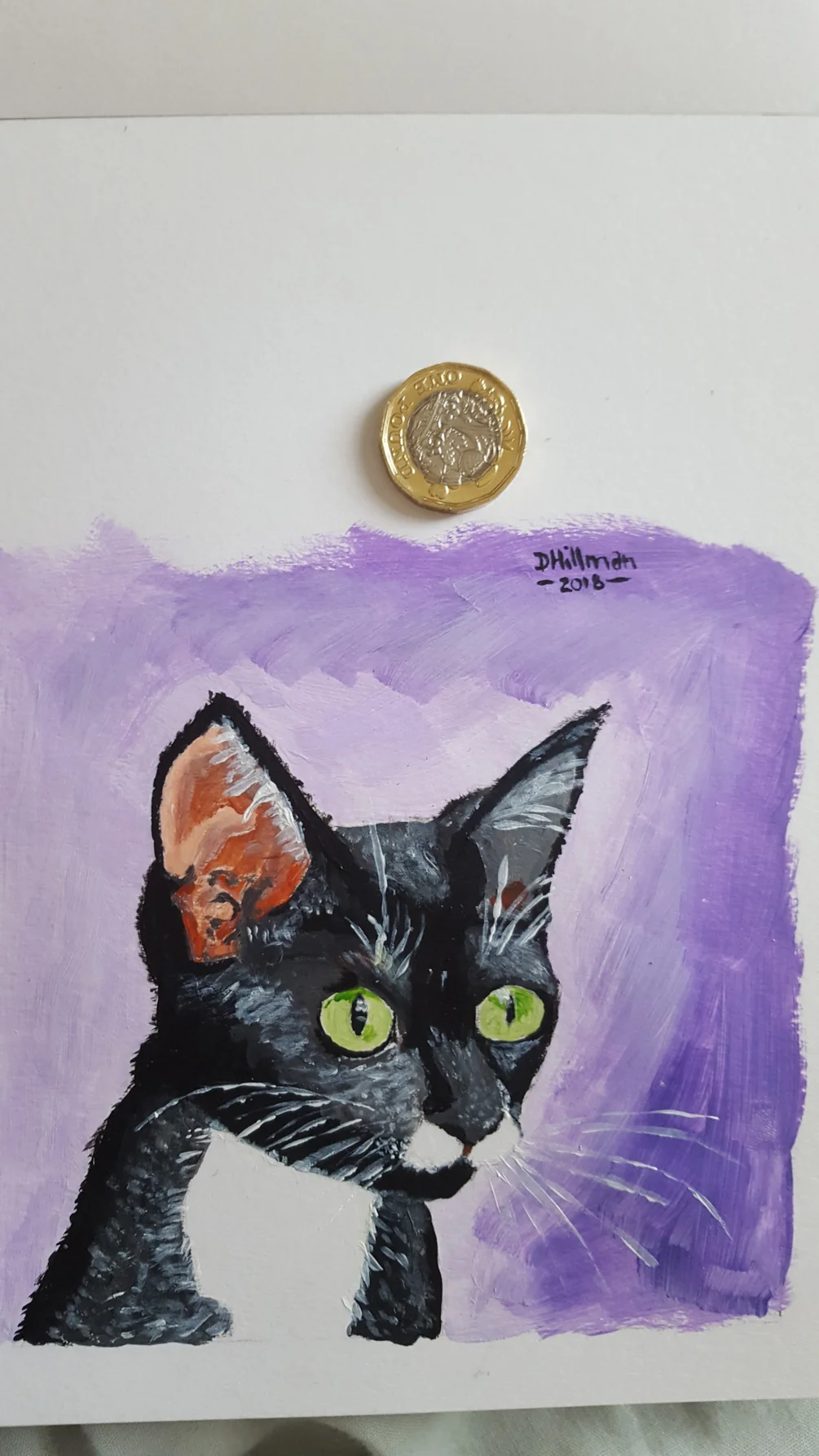 Feline study Feline study
