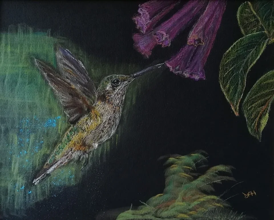 Hummingbird (developed) Hummingbird (developed)