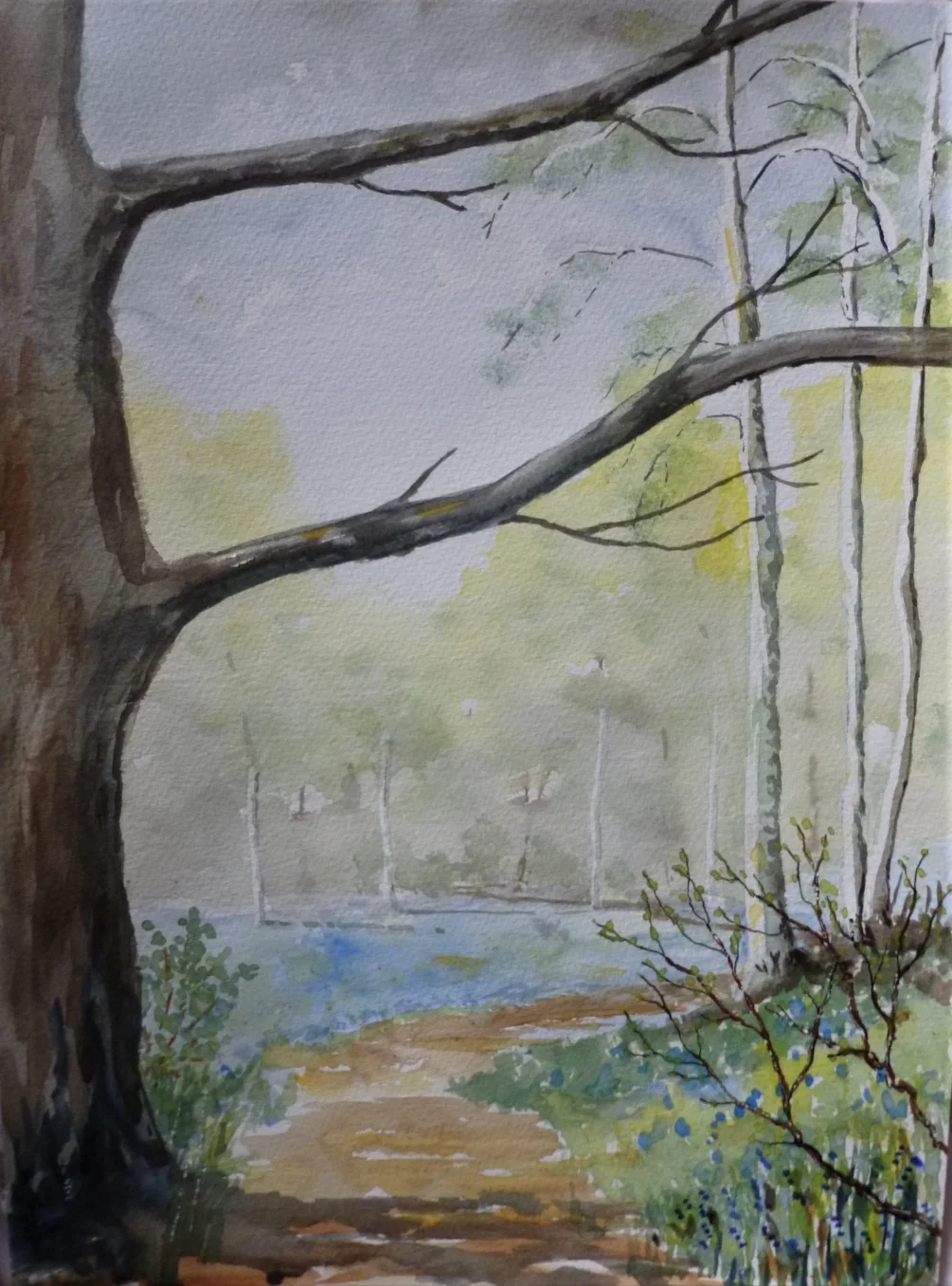 Woodland scene 2 Woodland scene 2