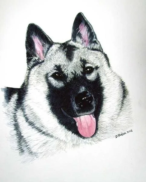 Puppy Sky (NFS) Puppy Sky (NFS)