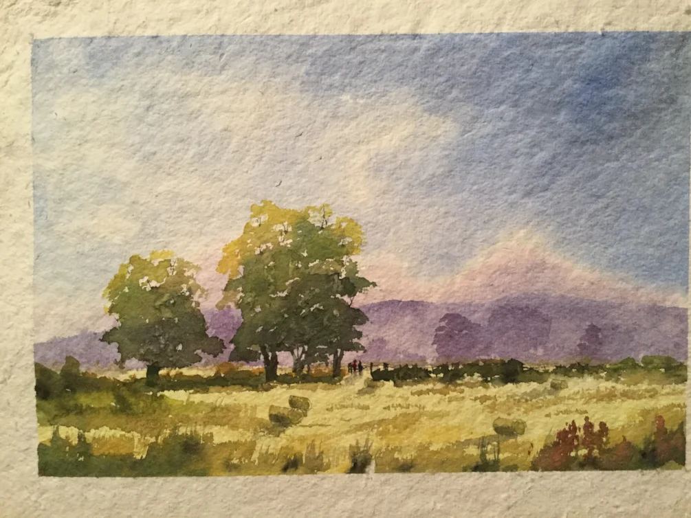 Summer Meadow Summer Meadow