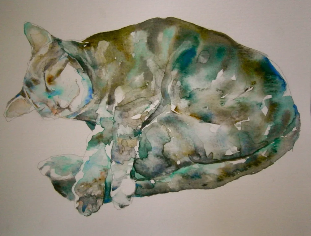 Sleepy head No 2 Sleepy head No 2