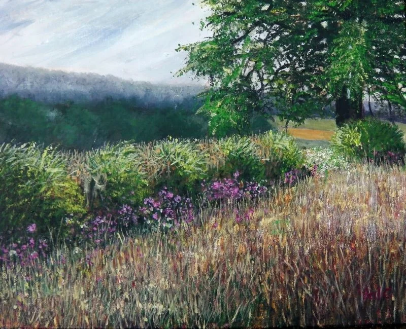English Summer Hedgerow English Summer Hedgerow