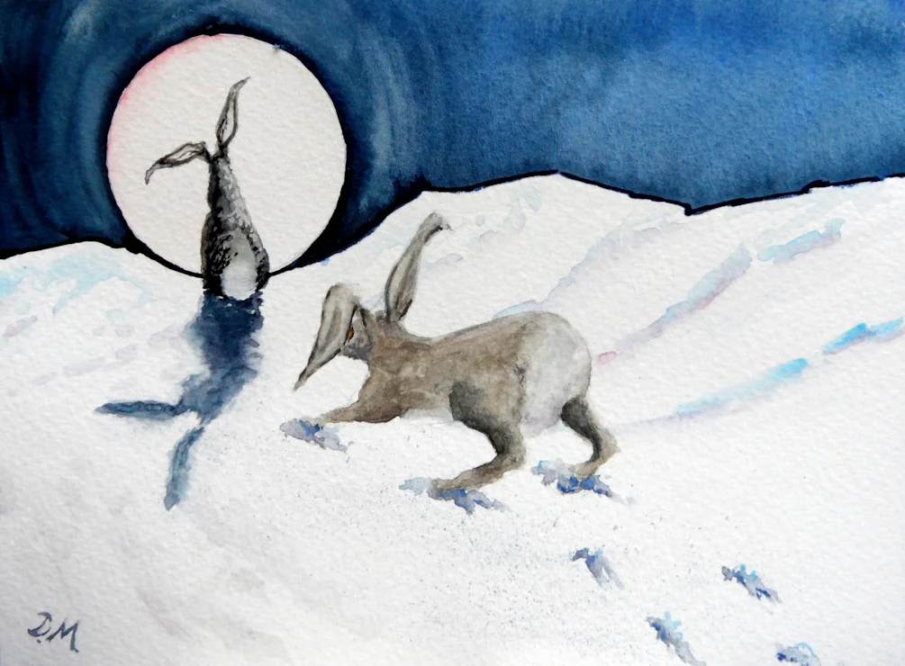 Moon Hares Moon Hares