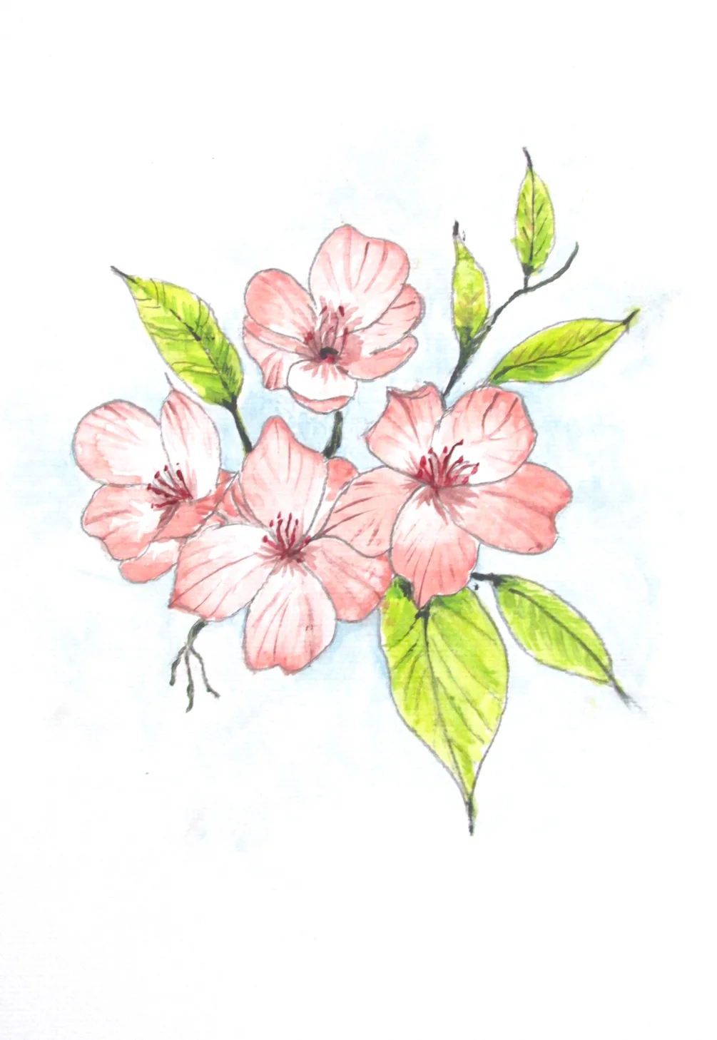 flowers 1 flowers 1