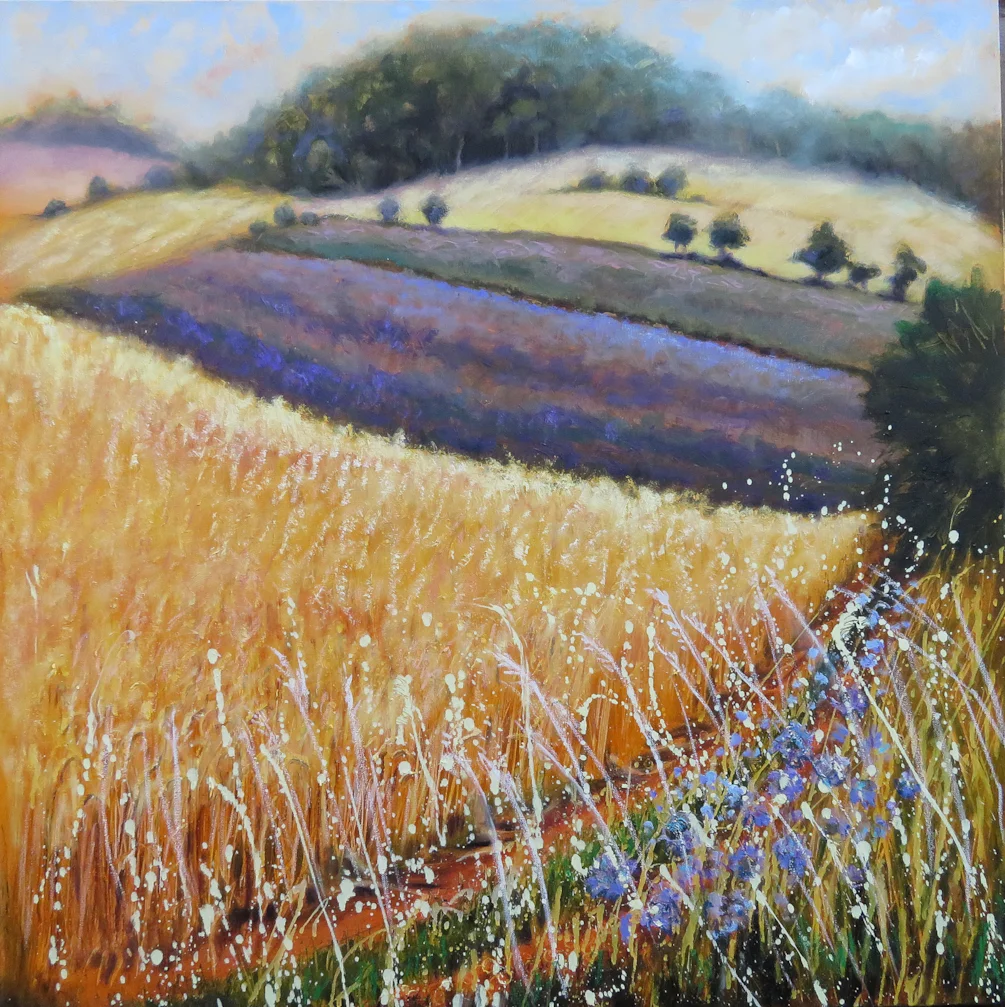 harvest fields snowshill sm harvest fields snowshill sm