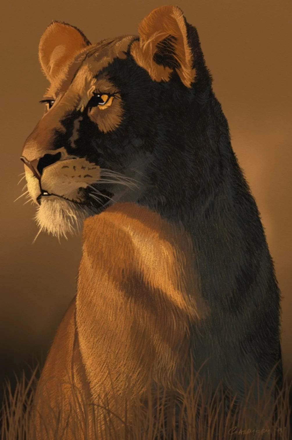 lion3 lion3