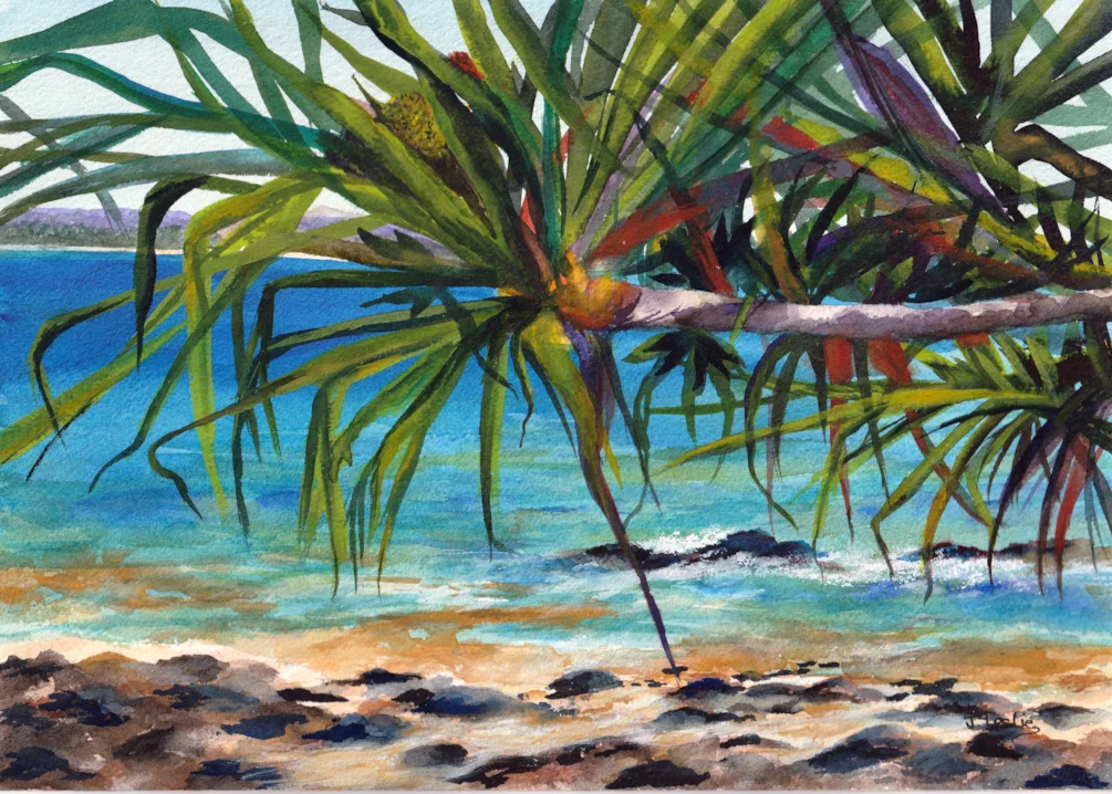 pandanus & rocks pandanus & rocks