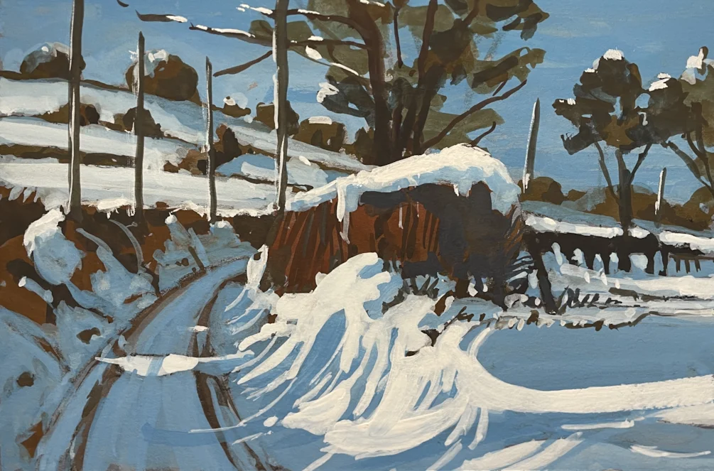 snow lane snow lane