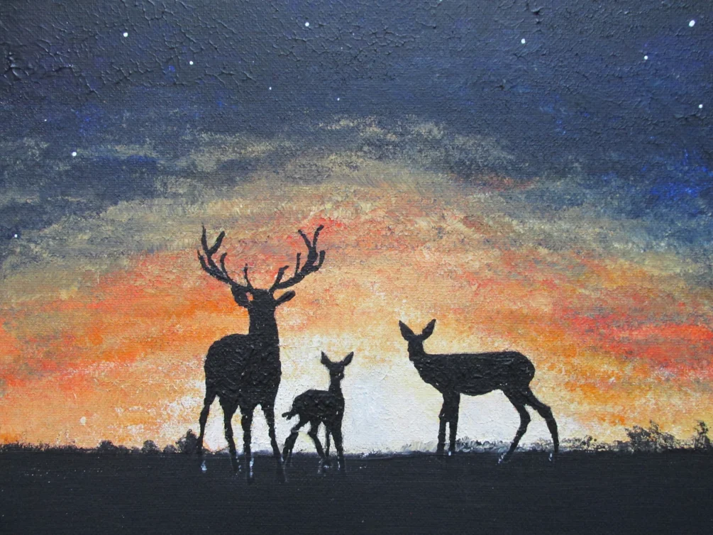 sunset sunset