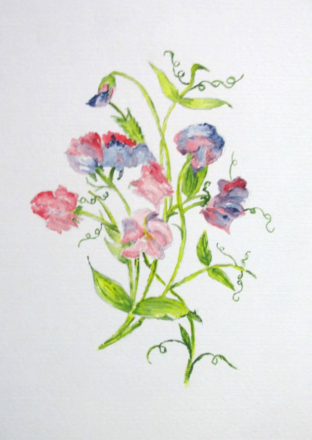 sweet peas sweet peas