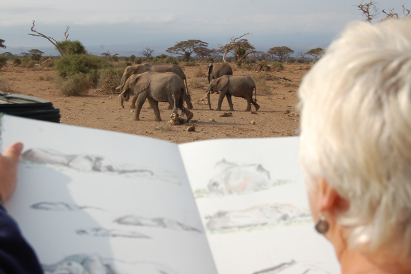 Art Safari_Drawing elephants from the vehicle, Ambosseli, Kenya