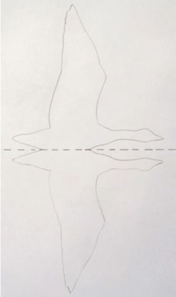 How To Paint Birds In Flight